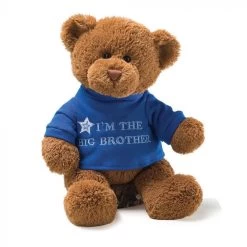 Gund Big Brother Message Teddy Bear